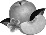 bankrupt png